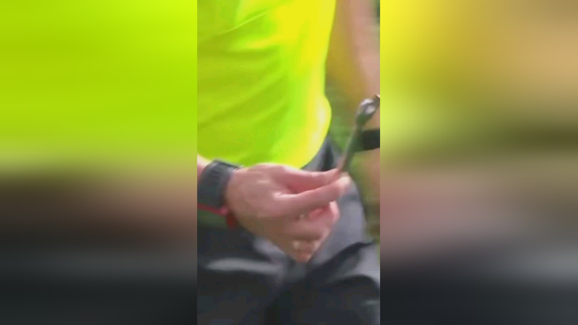 与更具侵